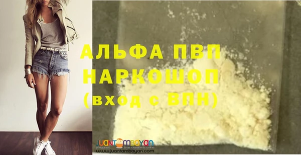 молекула духа Новодвинск
