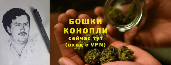 молекула духа Новодвинск