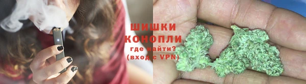 молекула духа Новодвинск