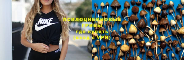 молекула духа Новодвинск
