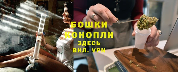 молекула духа Новодвинск