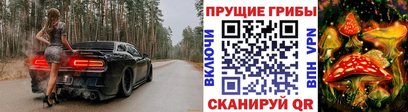 Галлюциногенные грибы Psilocybine cubensis Сертолово