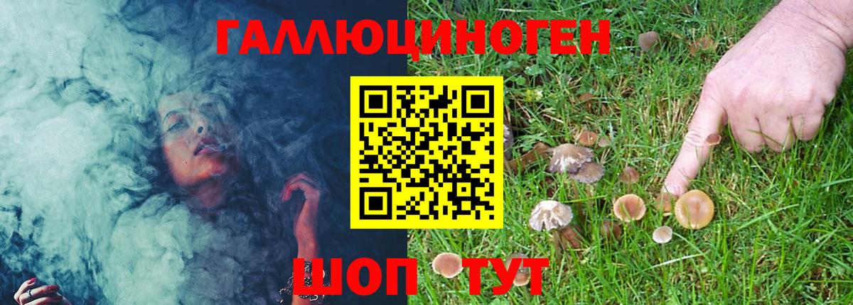 Псилоцибиновые грибы MAGIC MUSHROOMS Сертолово