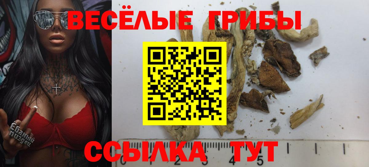 Галлюциногенные грибы Cubensis  Вход с VPN  Сертолово 