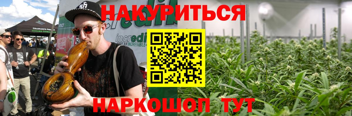Канабис семена  Вход с VPN  Бошки Шишки тримм  Каннабис семена  Сертолово  Шишки марихуана индика 